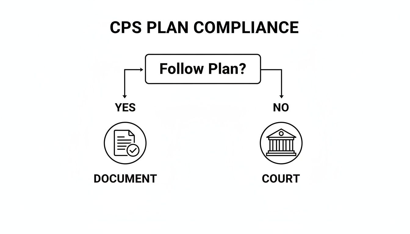 Flowchart showing CPS plan compliance: if plan is followed, document; if not, go to court.